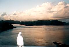 vai a Hamilton Island