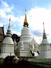 Wat Suan Dok, Chiang Mai